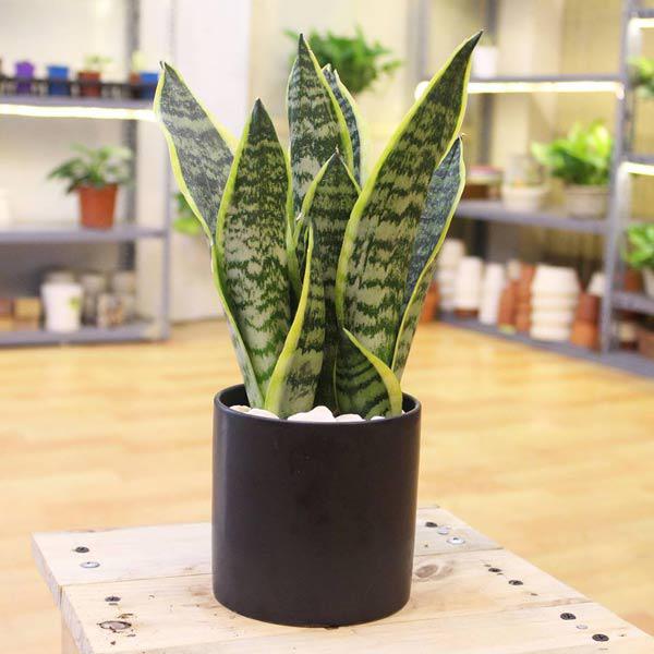 phong-thuy-trong-nha2-1532589211-624-width600height600-1