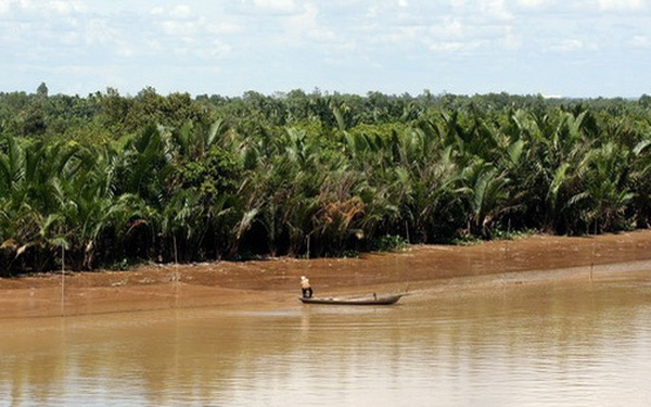 TP. HCM rót hơn 1.000 tỷ cho hạ tầng khu Đông