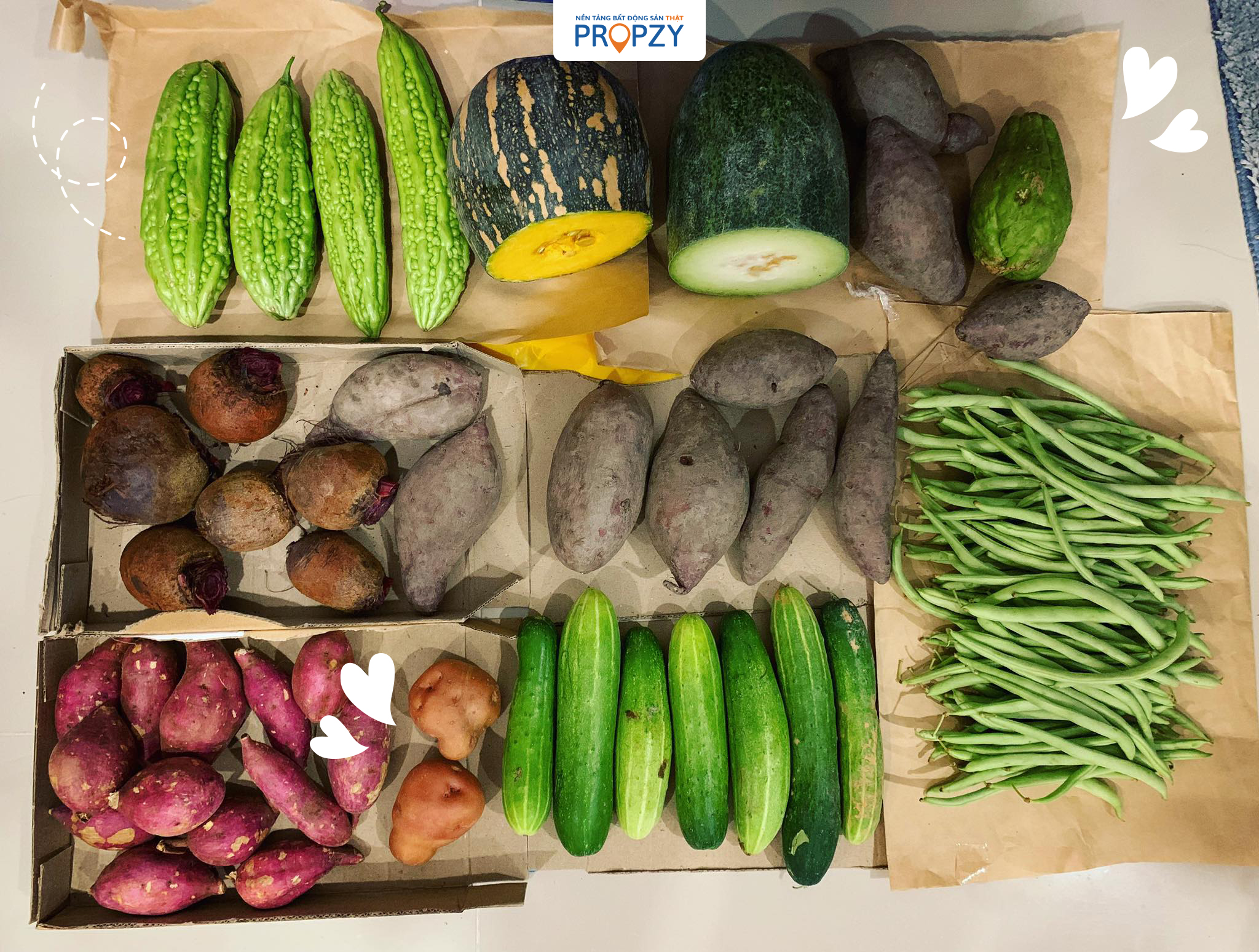 giãn cách tại nhà mùa dịch covid-19