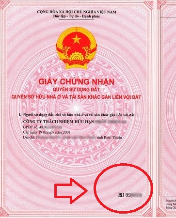 số sổ