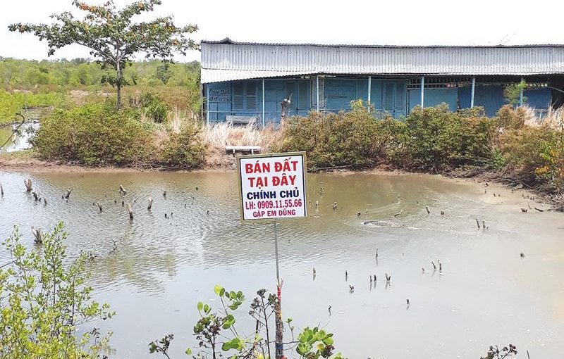 Bất động sản TP.HCM: Cảnh giác với sốt đất ở Cần Giờ