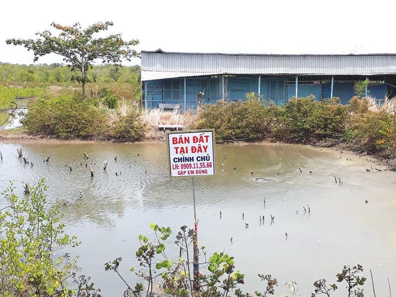 sot-dat-can-gio-1516118471 Bất động sản TP.HCM: Cảnh giác với sốt đất ở Cần Giờ