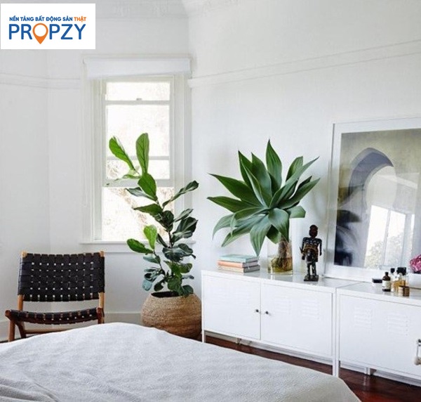 tao_goc_xanh_trong_khong_gian_song-1 Dùng chậu cây xanh trang trí ở bàn để giúp không gian thêm xanh