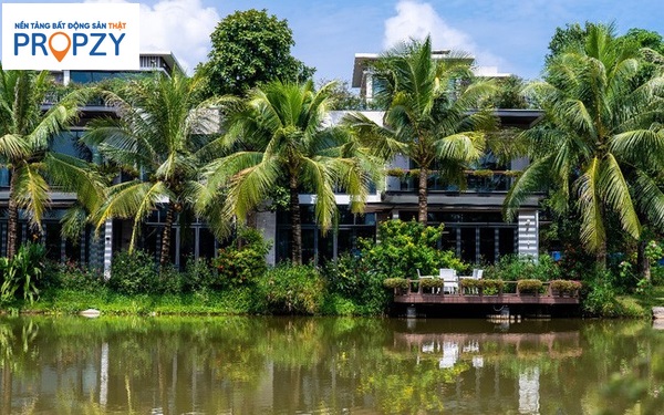 Xu hướng sống xanh được giới trẻ lựa chọn