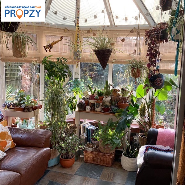 Hãy thử phủ xanh từ sàn đến trần trong không gian sống 