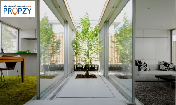 Thiết kế một giếng trời trong veo trong không gian nhà