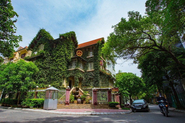 Rộ trào lưu làm nhà cây: Chuyên gia cảnh báo coi chừng “rước họa vào thân”