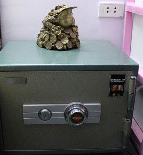 trong-cay-to-canh-nha-se-khien-tien-vao-nhu-nuoc (2)