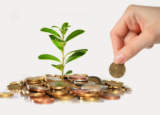 Trồng cây to cạnh nhà để tiền “ào ào” như nước