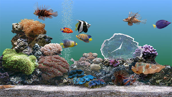 trong-cay-to-canh-nha-se-khien-tien-vao-nhu-nuoc (3)