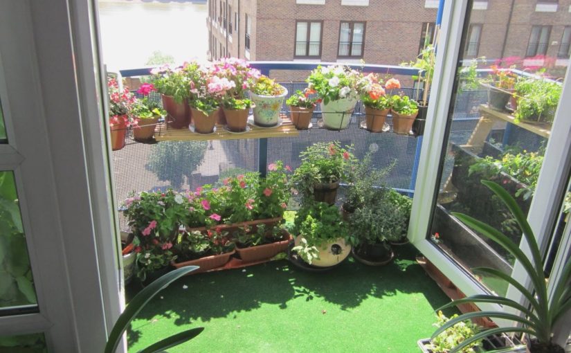 Thiết kế ban công thành khu vườn xanh mát