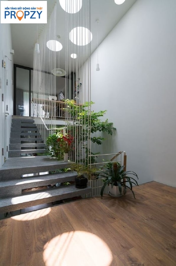 vuon_canh_la_mot_y_tuong_tuyet_voi_de_lay_sang Vườn cảnh cũng là một ý tưởng tuyệt vời để lấy sáng cho nhà phố